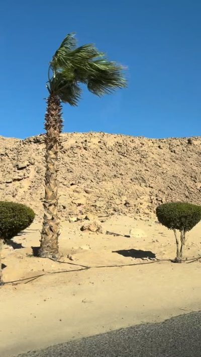 Pyramisa Resort Sahl Hasheesh — фото погоды в феврале (2026-02-21)