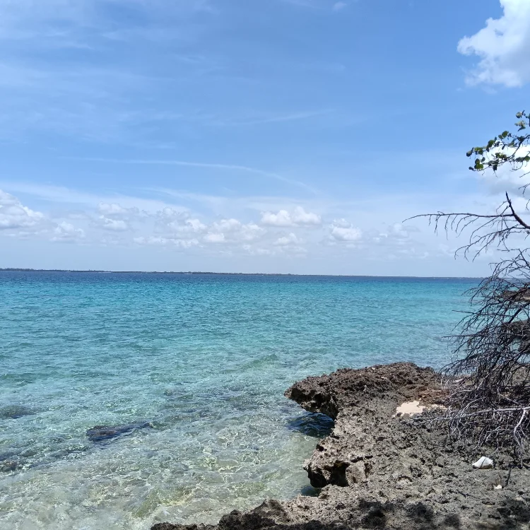 Погода в Playa Máquina