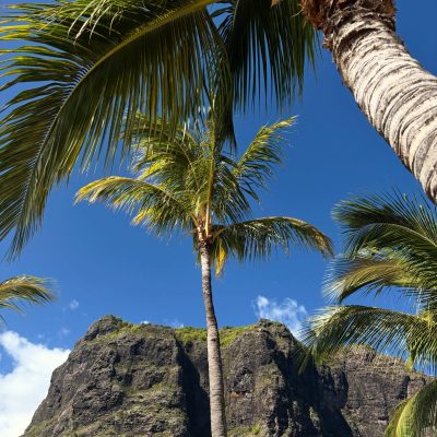 Le Morne Mountain в мае — фото погоды (2026-05-26)