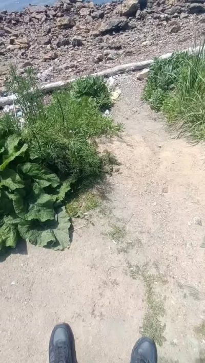 Тихий Океан в июне — фото погоды (2026-06-24)