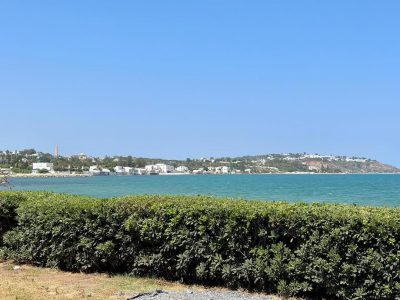 Punic'Art в январе — фото погоды (2026-01-06)
