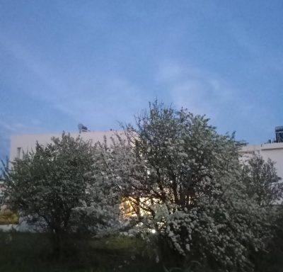 Kalitea Halkidiki в апреле — фото погоды (2026-04-11)