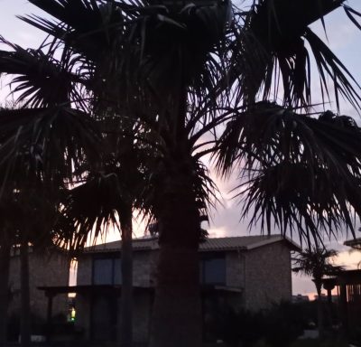 Kalitea Halkidiki в апреле — фото погоды (2026-04-11)