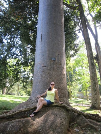 Peradeniya Botanical Garden в июле — фото погоды (2026-07-09)