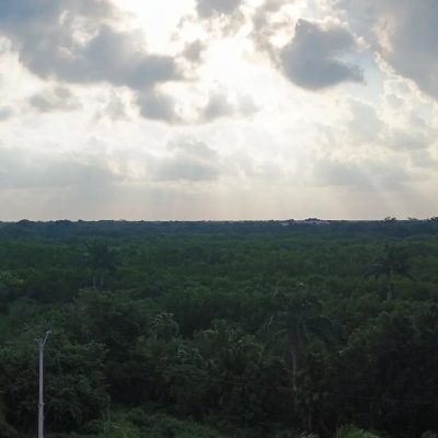 El Cozumeleño Beach Resort в январе — фото погоды (2026-01-14)