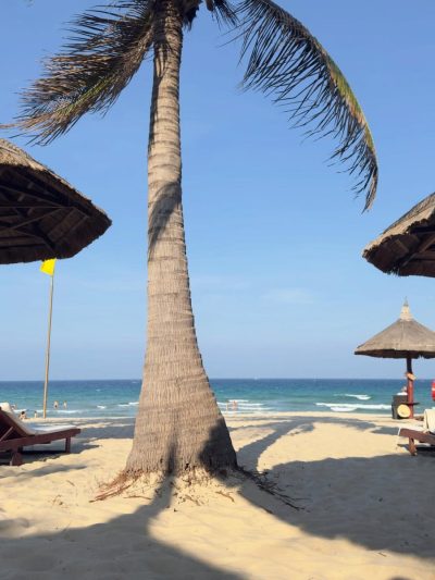Melia Vinpearl Cam Ranh Beach Resort — фото погоды в апреле (2026-04-08)