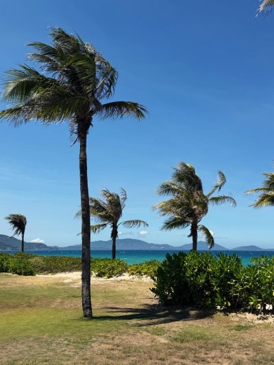 Melia Vinpearl Cam Ranh Beach Resort — фото погоды в мае (2026-05-30)