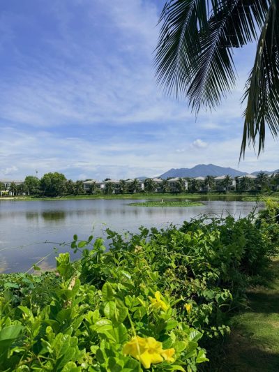 Melia Vinpearl Cam Ranh Beach Resort — фото погоды в июне (2026-06-29)