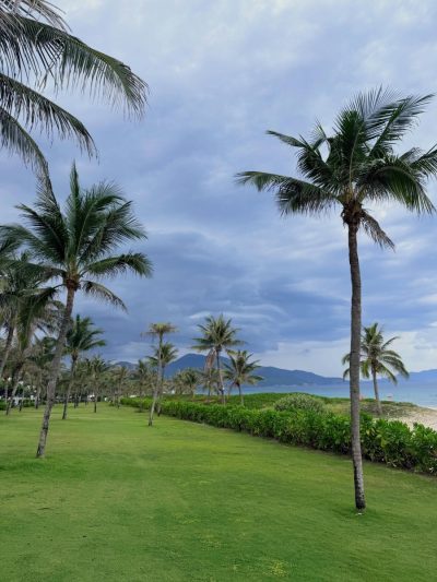 Melia Vinpearl Cam Ranh Beach Resort — фото погоды в июне (2026-06-29)