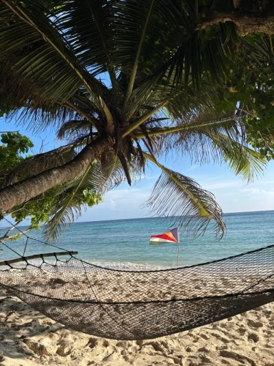 Anse Source D'argent - La Digue - Seychelles в марте — фото погоды (2026-03-19)