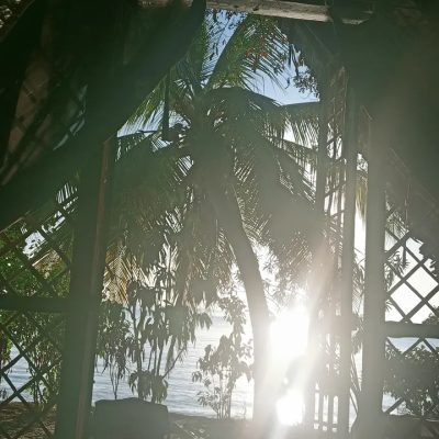 Viaggi Bellissimi Madagascar-Zanzibar в августе — фото погоды (2023-08-02)