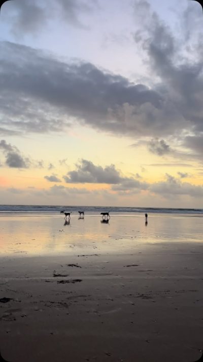 Rajbagh Beach в августе — фото погоды (2025-08-24)