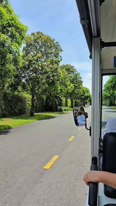 Vinpearl Resort & Golf Nam Hoi An — фото погоды в июне (2026-06-26)