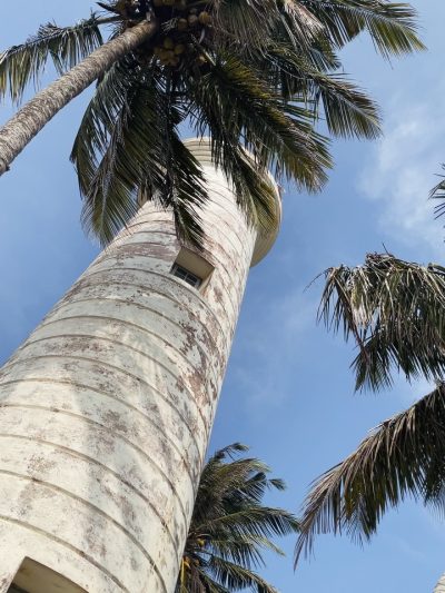 Galle Fort Walks в январе — фото погоды (2026-01-25)