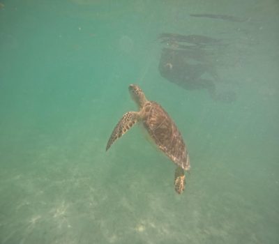 Akumal Bay в феврале — фото погоды (2026-02-22)