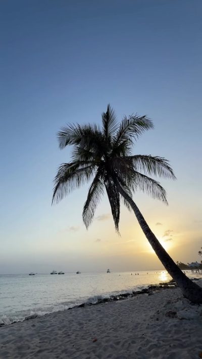 Bayahibe Beach, Dominican Republic в июне — фото погоды (2026-06-30)